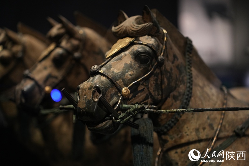 秦始皇的两辆“豪车”,又停一起了! 秦始皇的两辆“豪车”,又停一起了!