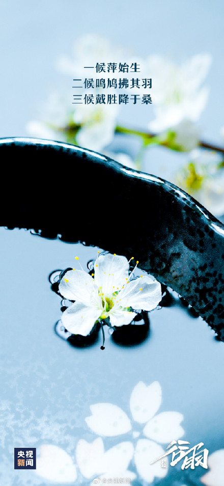 春天最后一个节气来了