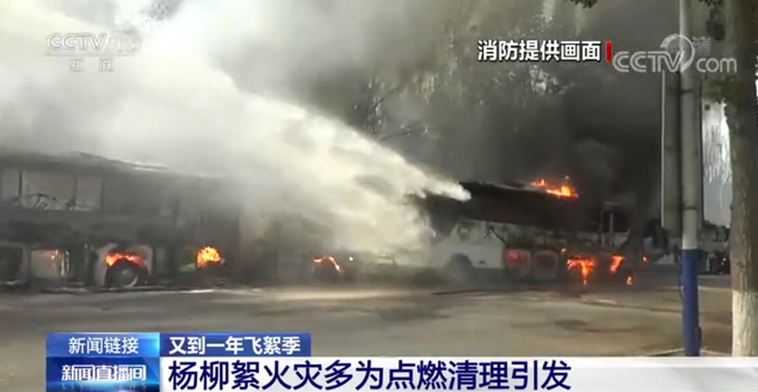 谷雨将到!要小心如约而至的它,又来了! 谷雨将到!要小心如约而至的它,又来了!