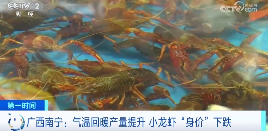 身价暴跌！一斤或跌至10元内，很多人爱吃