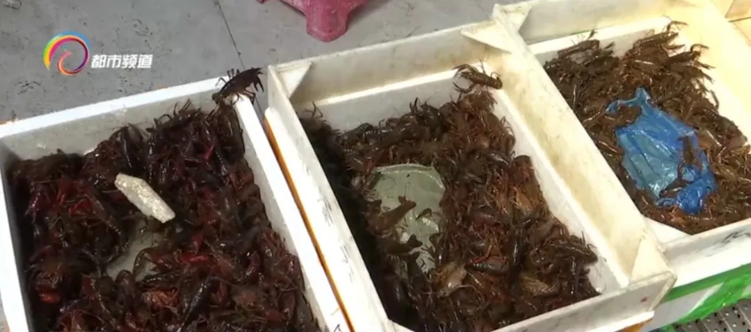 降!降!降!价格几乎腰斩,很多昆明人爱吃…… 降!降!降!价格几乎腰斩,很多昆明人爱吃……