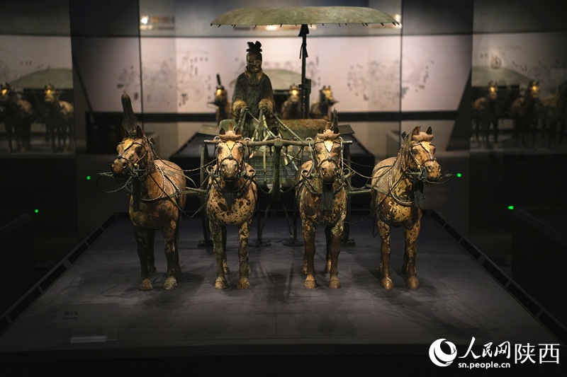 秦始皇的两辆“豪车”,又停一起了! 秦始皇的两辆“豪车”,又停一起了!