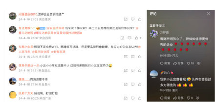 大熊猫“莽小五”火出圈，重庆多家知名企业抛出橄榄枝