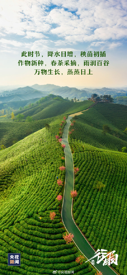 春天最后一个节气来了