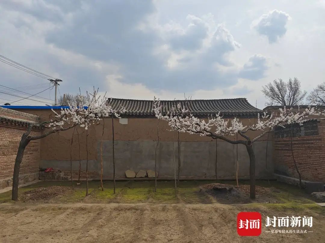 老人在墙上写了24年日记,儿子追忆:父亲上过私塾,遗憾没拍全家福 老人在墙上写了24年日记,儿子追忆:父亲上过私塾,遗憾没拍全家福