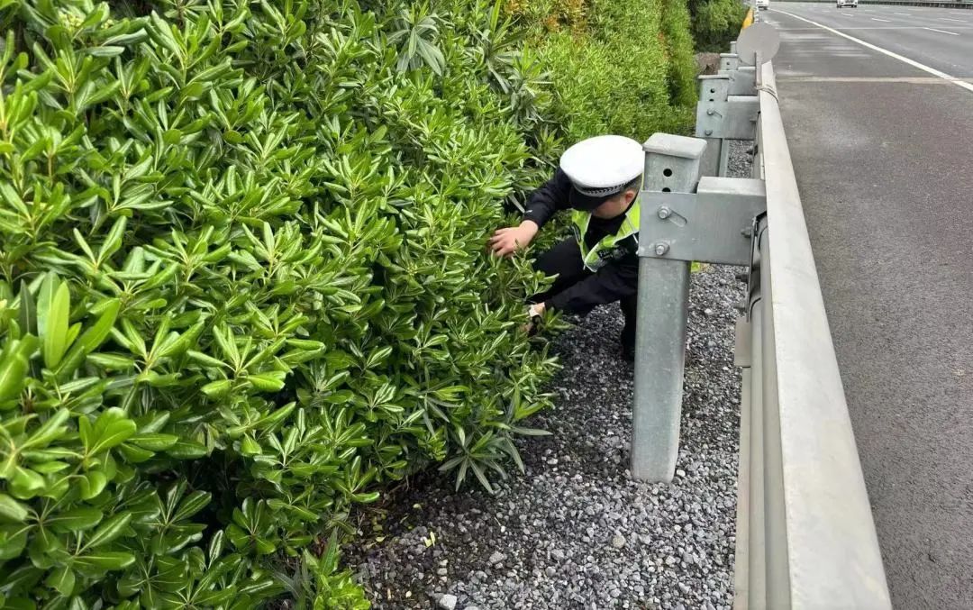 两男子车上吵架，高速公路上怒撒4.3万现金：钱扔出去就后悔了