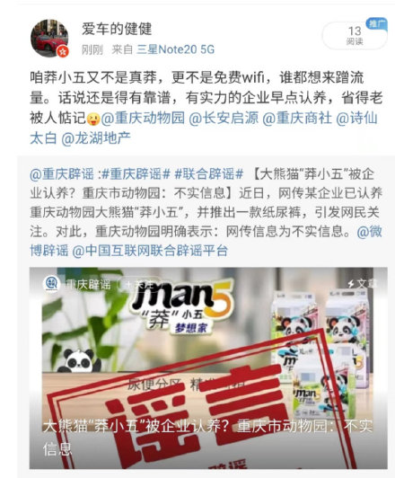 大熊猫“莽小五”火出圈，重庆多家知名企业抛出橄榄枝