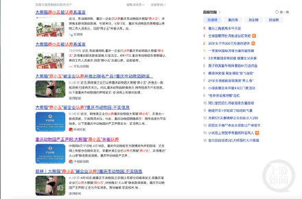 大熊猫“莽小五”火出圈，重庆多家知名企业抛出橄榄枝