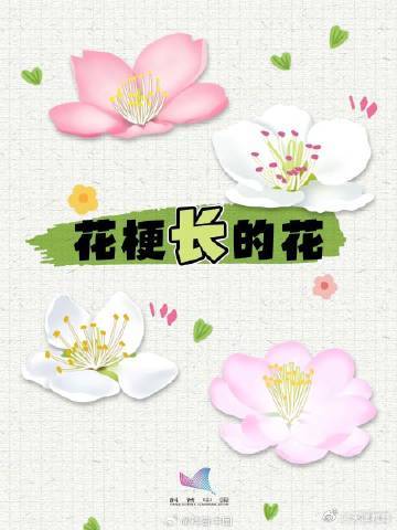 又到了桃李杏樱梅梨海棠……超简单的识花手册 来了 又到了桃李杏樱梅梨海棠……超简单的识花手册 来了