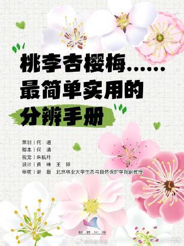 又到了桃李杏樱梅梨海棠……超简单的识花手册 来了 又到了桃李杏樱梅梨海棠……超简单的识花手册 来了