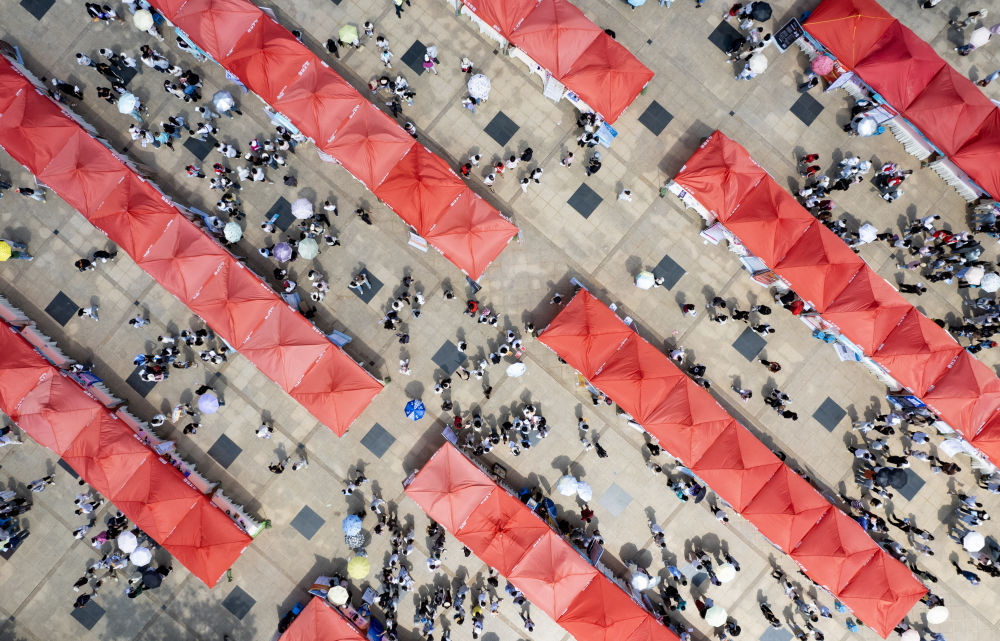 云南省2024届高校毕业生民办教育专场招聘会在昆明举行