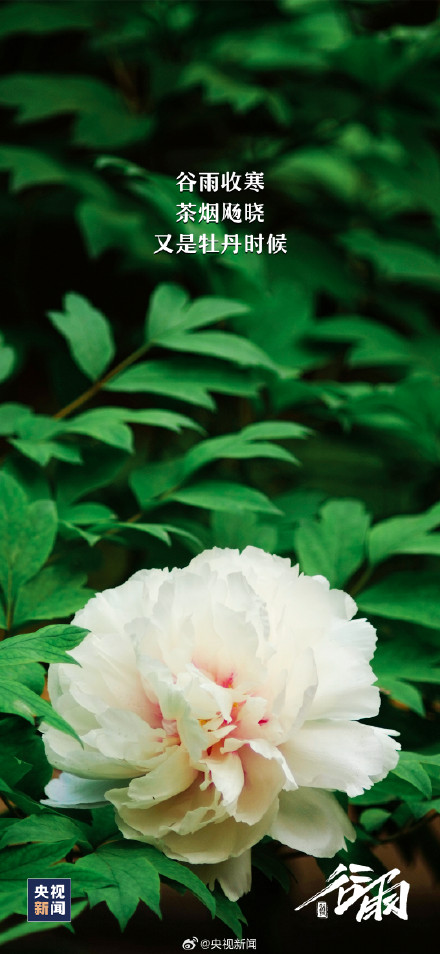 春天最后一个节气来了