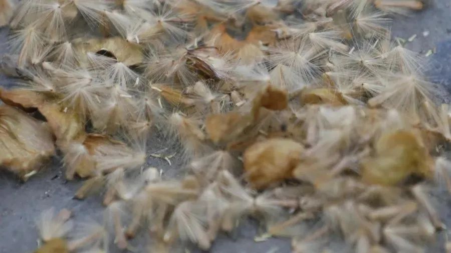 医生提醒：它不是“救命药”！请谨慎服用