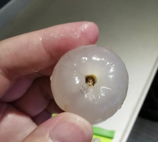 价格下降!夏季水果“顶流”,即将大量上市!很多人佛山爱吃…… 价格下降!夏季水果“顶流”,即将大量上市!很多人佛山爱吃……