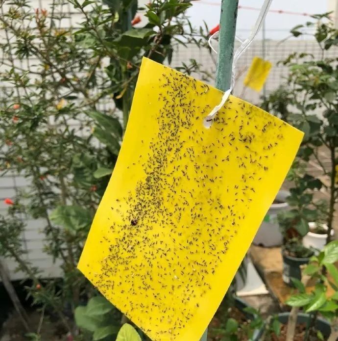 紧急提醒！最近出门少穿这种衣服！