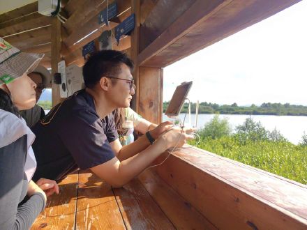 375只!深圳这个地方成黑脸琵鹭全球第三大栖息地 375只!深圳这个地方成黑脸琵鹭全球第三大栖息地