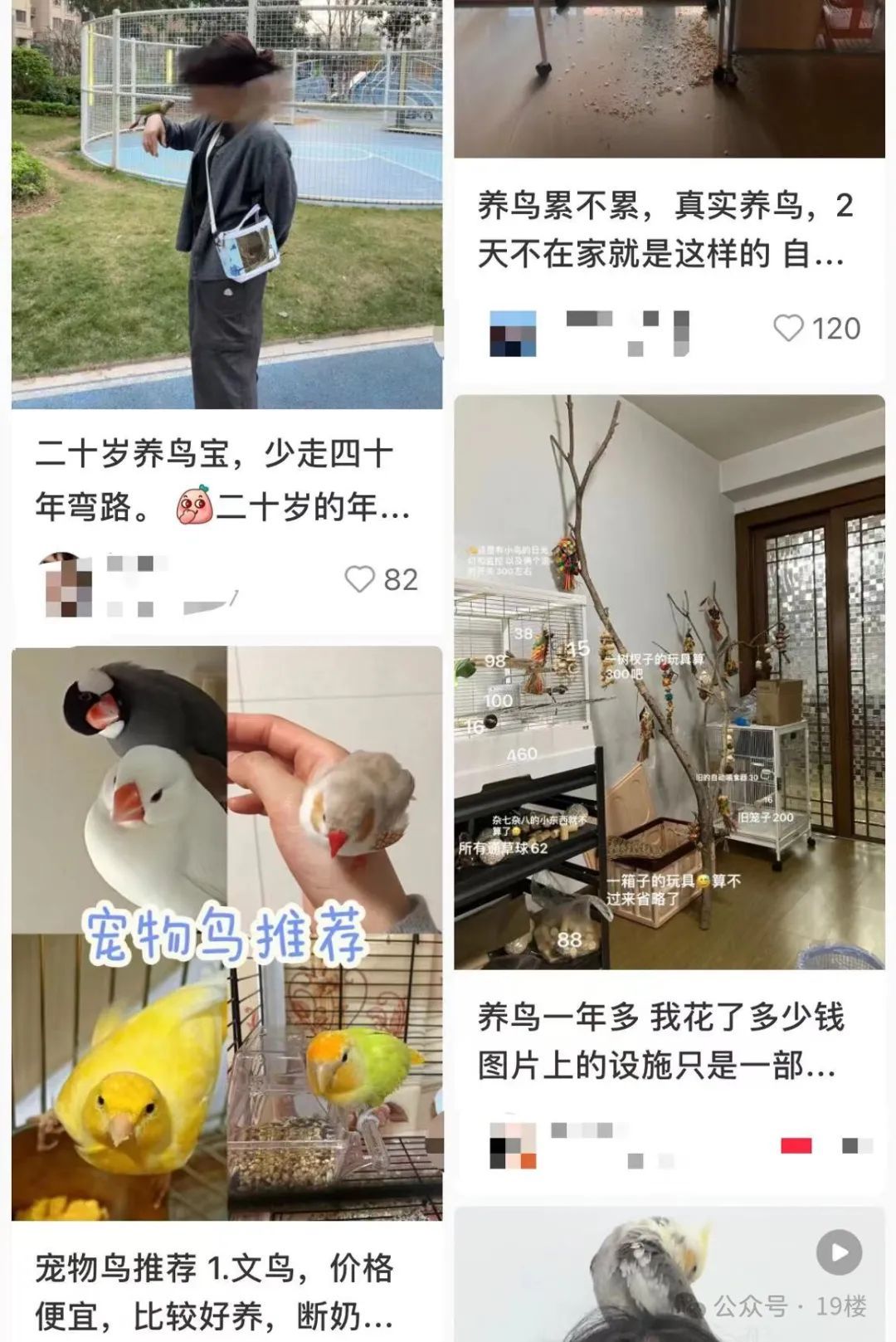 70元买来却花了1000多治病！突然火了，杭州不少人爱上了…