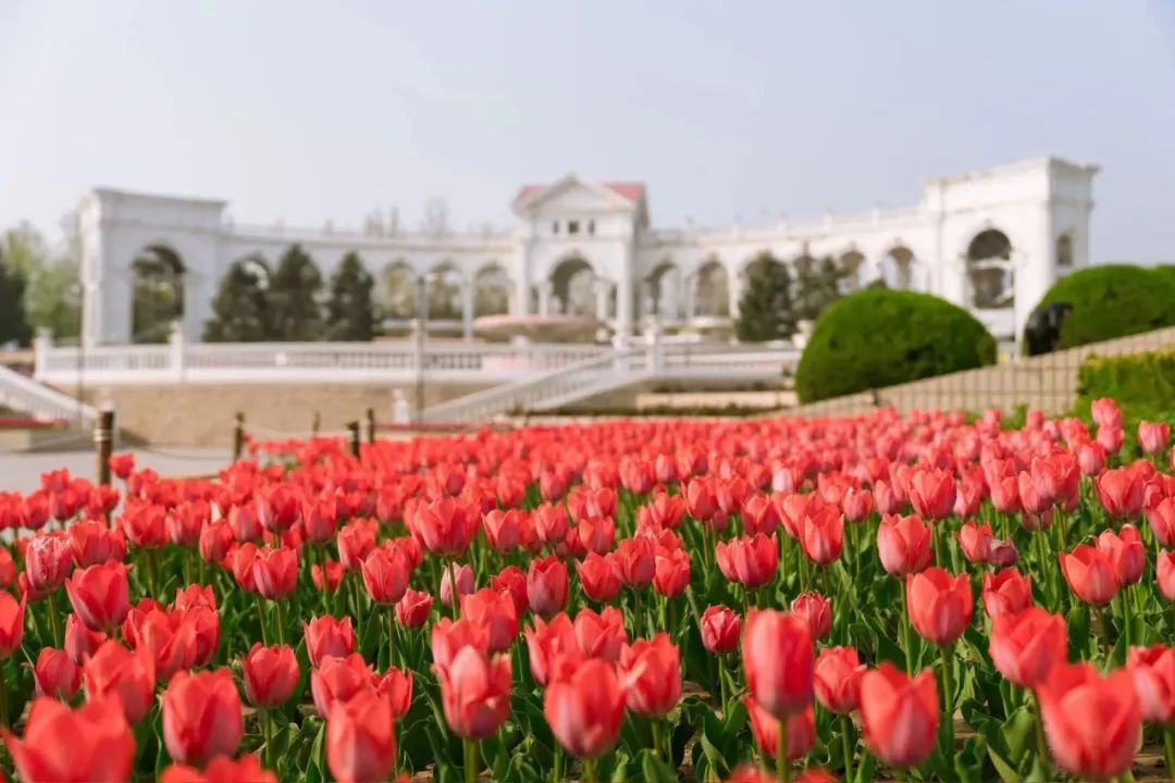 北京：全市首条！坐着公交就能玩遍朝阳，今天正式开通发车