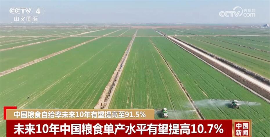 “三农”基本盘进一步夯实 中国粮食自给率未来10年有望提高至91.5%