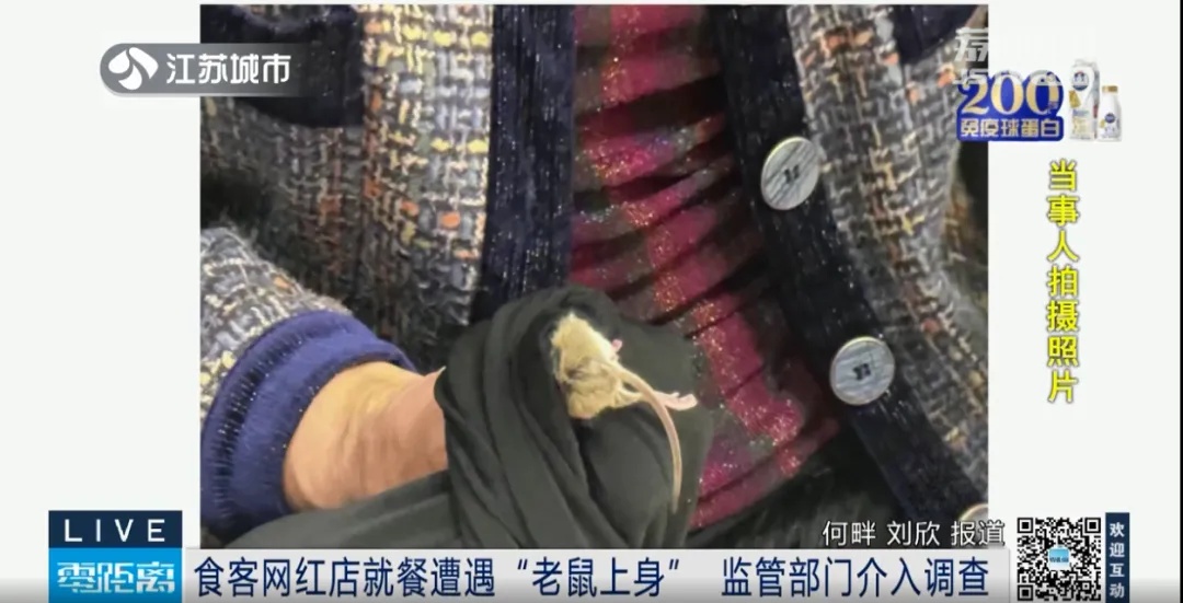 太吓人了！网红烤肉店里，老鼠钻进顾客裤子里！