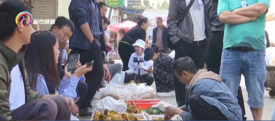 每公斤1000元!云南人爱的这种美味数量多起来了…… 每公斤1000元!云南人爱的这种美味数量多起来了……