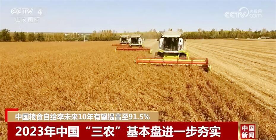 “三农”基本盘进一步夯实 中国粮食自给率未来10年有望提高至91.5%