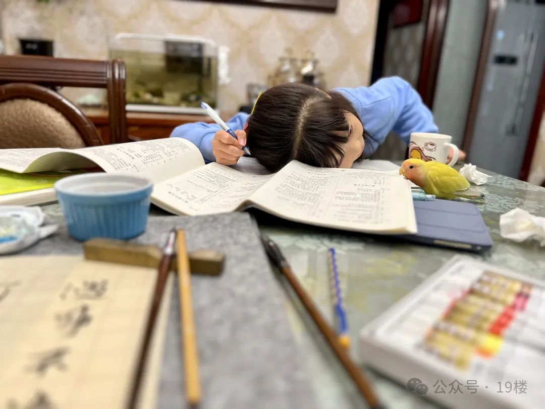 70元买来却花了1000多治病！突然火了，杭州不少人爱上了…