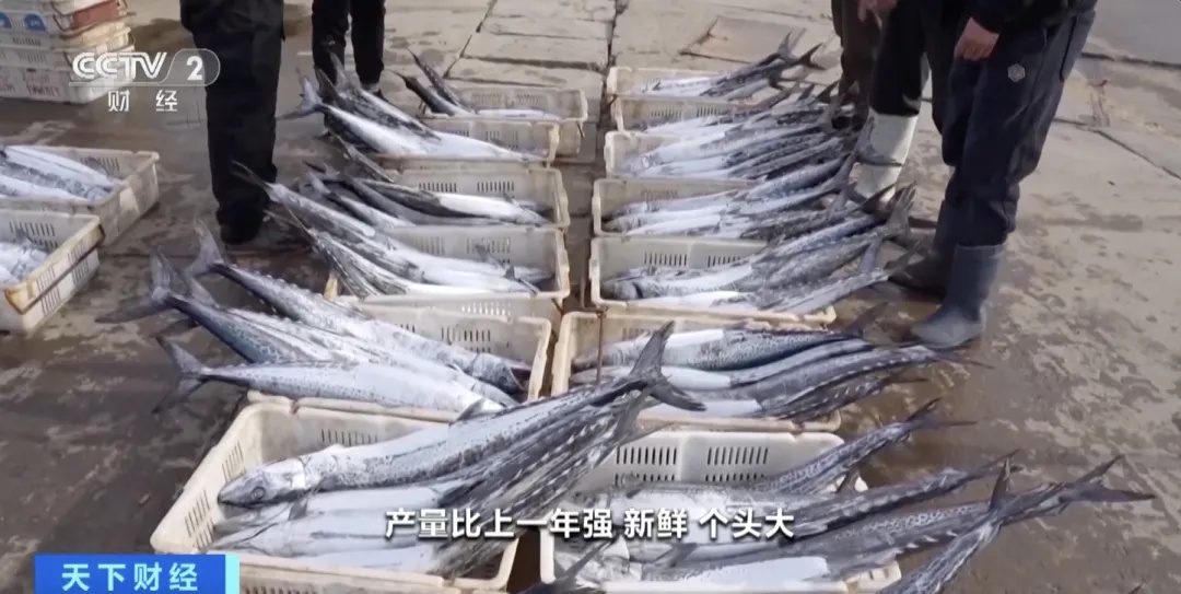 降!降!降!价格大降! 降!降!降!价格大降!