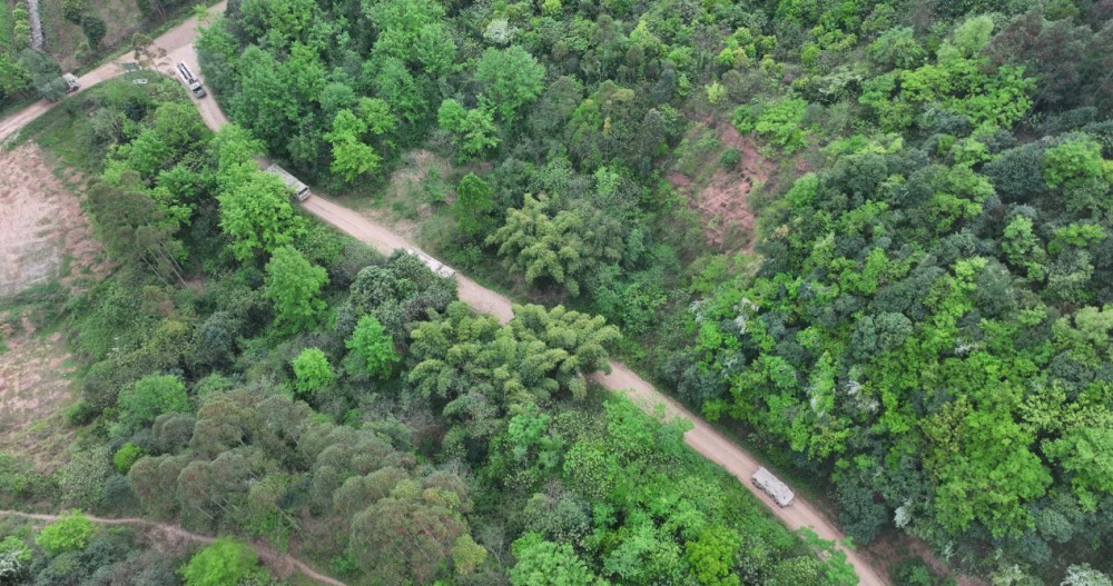 陆军第77集团军某旅:全流程综合演练锤炼防化兵实战能力 陆军第77集团军某旅:全流程综合演练锤炼防化兵实战能力