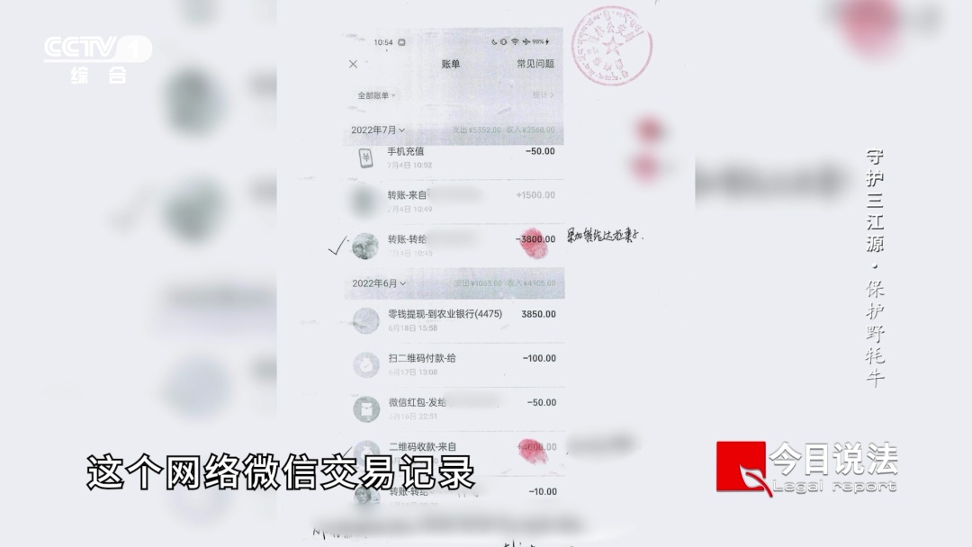 一起车祸牵出两起危害濒危野生动物案，法治为高原生态保驾护航