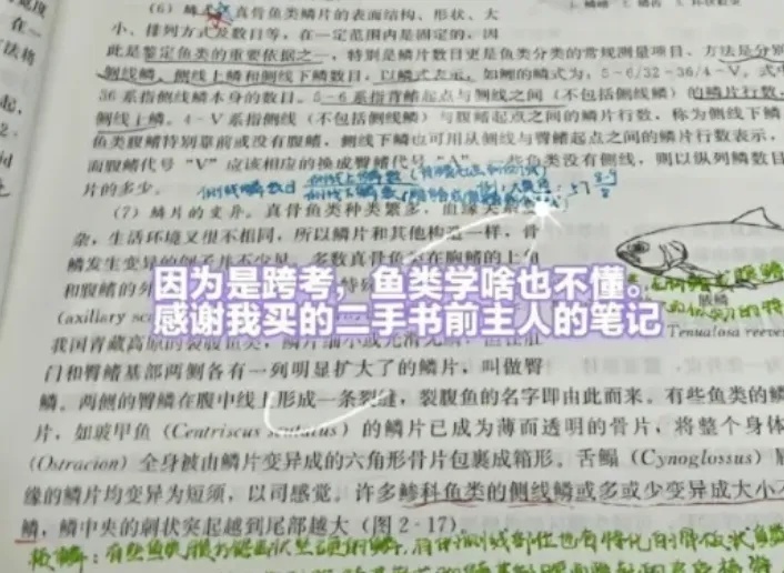 “爸，我考上研究生了！你在天上看到了对不对？”