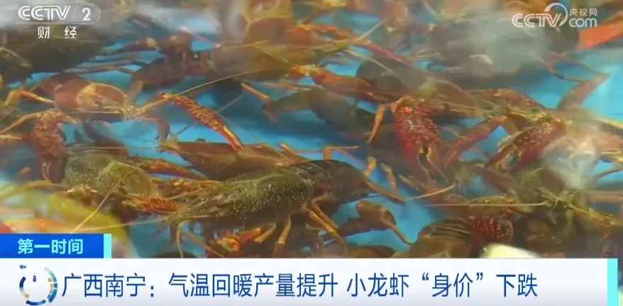 降!降!降!价格大降! 降!降!降!价格大降!