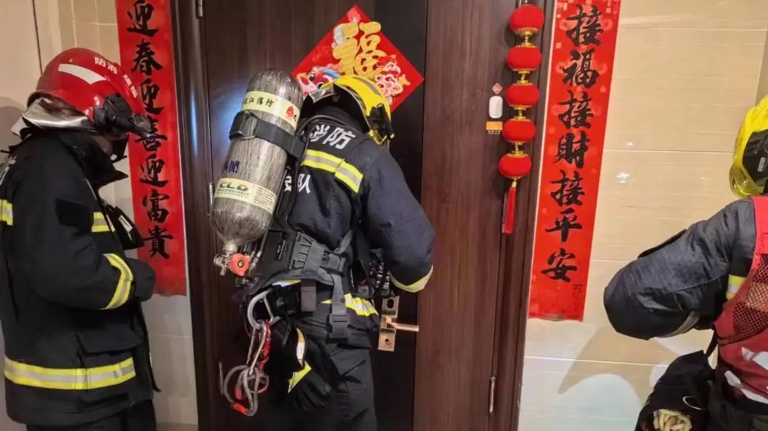 你的猫,在试图“自取灭亡”! 你的猫,在试图“自取灭亡”!