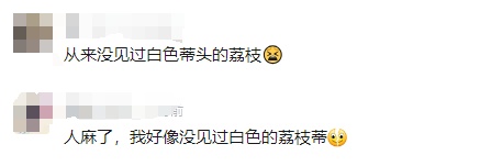 价格下降!夏季水果“顶流”,即将大量上市!很多人佛山爱吃…… 价格下降!夏季水果“顶流”,即将大量上市!很多人佛山爱吃……