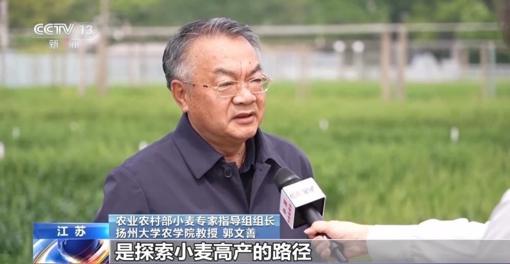 科技潜力转化为现实产量 探索小麦高产路径→