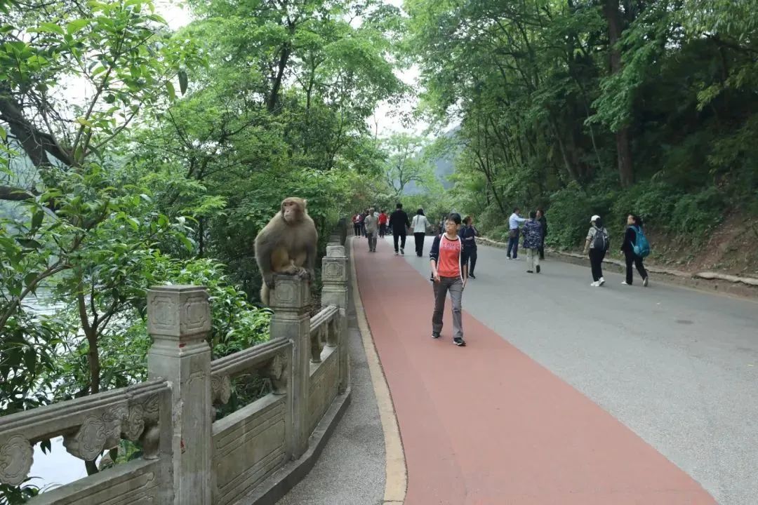 贵阳黔灵山公园,有新变化! 贵阳黔灵山公园,有新变化!