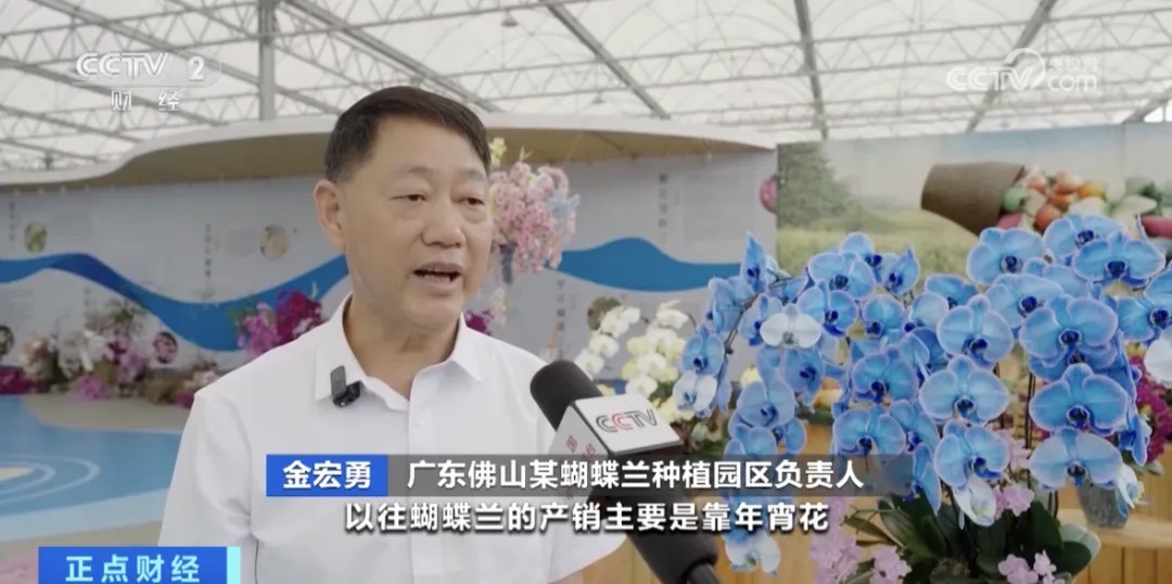 太火爆！它，销量大增→