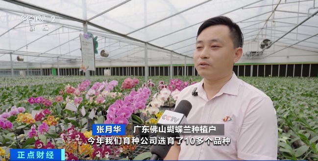 淡季销量也不减？从年初火到现在！年轻人的“新宠”→