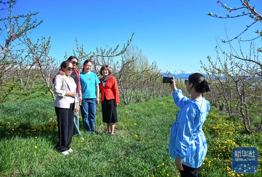 新疆霍尔果斯:桃花盛开引客来 新疆霍尔果斯:桃花盛开引客来