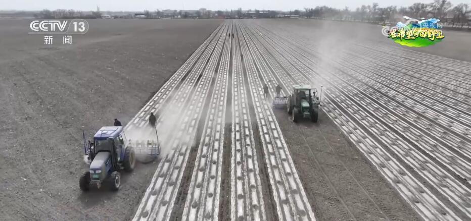 希望的田野生机勃勃 忙碌有序的春耕春种图正徐徐展开