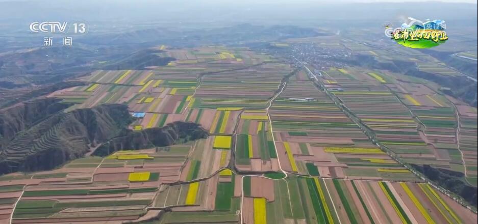 希望的田野生机勃勃 忙碌有序的春耕春种图正徐徐展开
