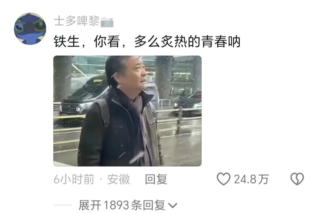 这一幕令人动容！音乐节上轮椅男孩被高高举起