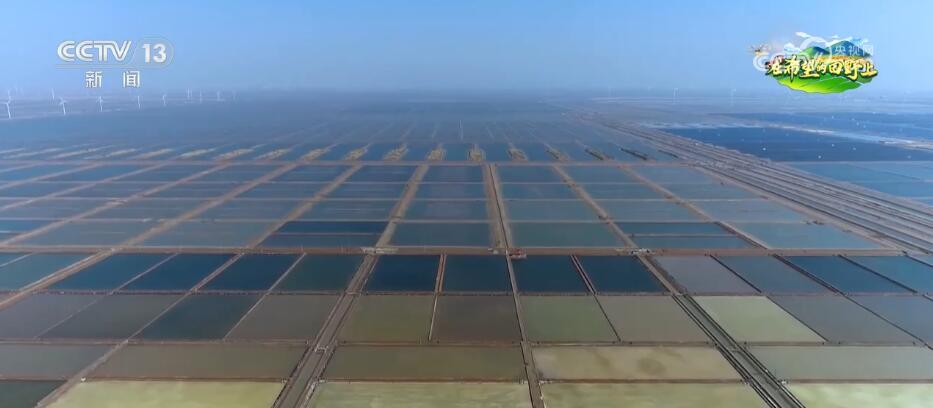 希望的田野生机勃勃 忙碌有序的春耕春种图正徐徐展开