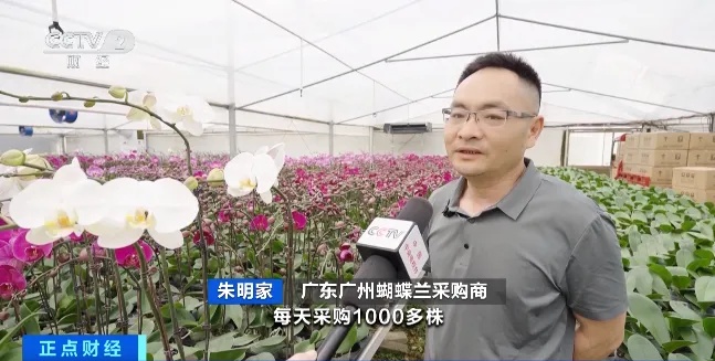 淡季销量也不减？从年初火到现在！年轻人的“新宠”→