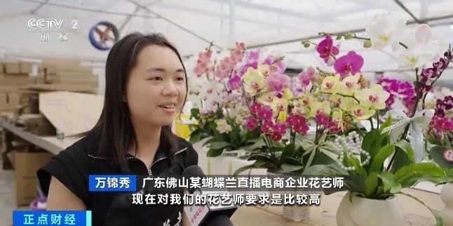 淡季“逆袭”！广东这种花正被年轻人“疯抢”→