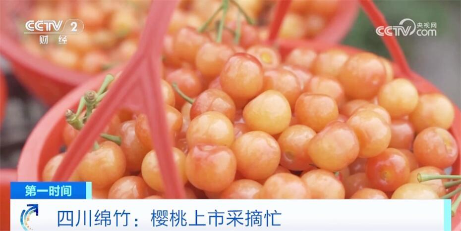 莓果迎来成熟季 特色产业有“奔头” 农民增收尝“甜头”