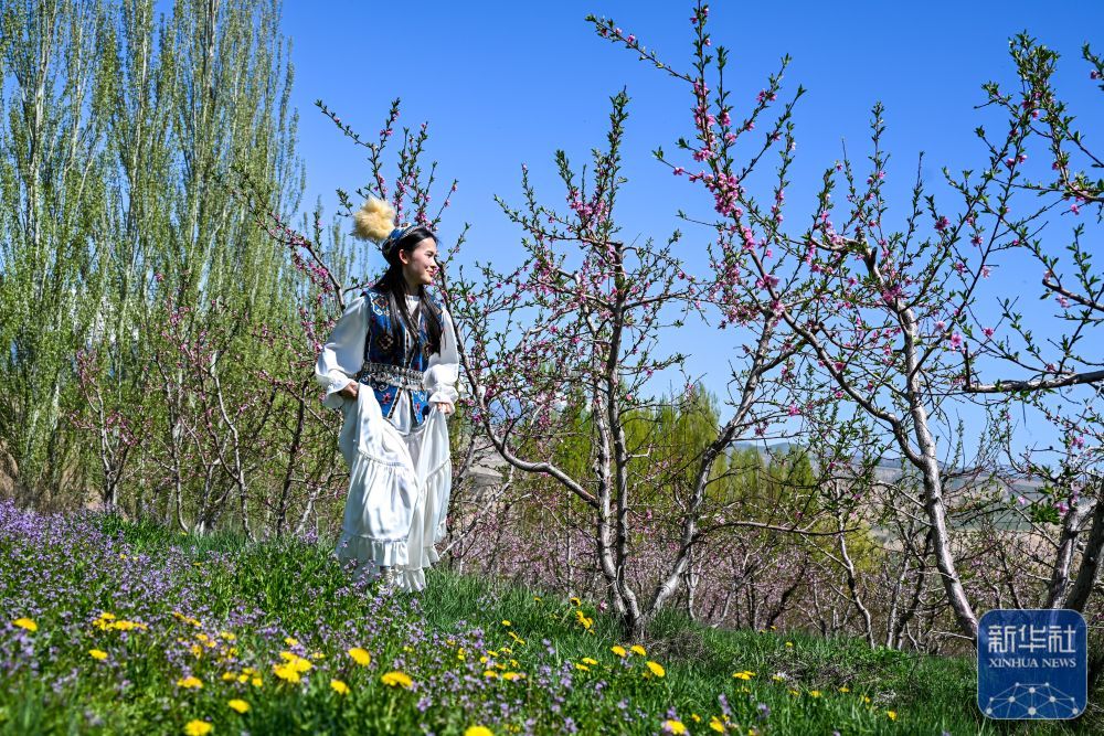 新疆霍尔果斯:桃花盛开引客来 新疆霍尔果斯:桃花盛开引客来