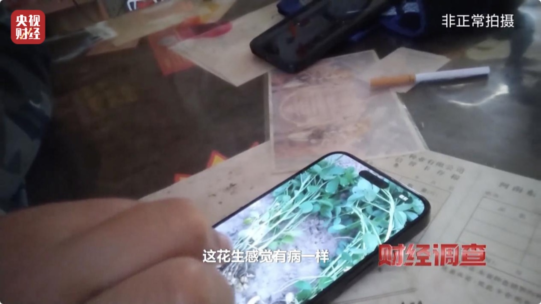 用“量子科技”种地，赋能的种子长得又快又好？