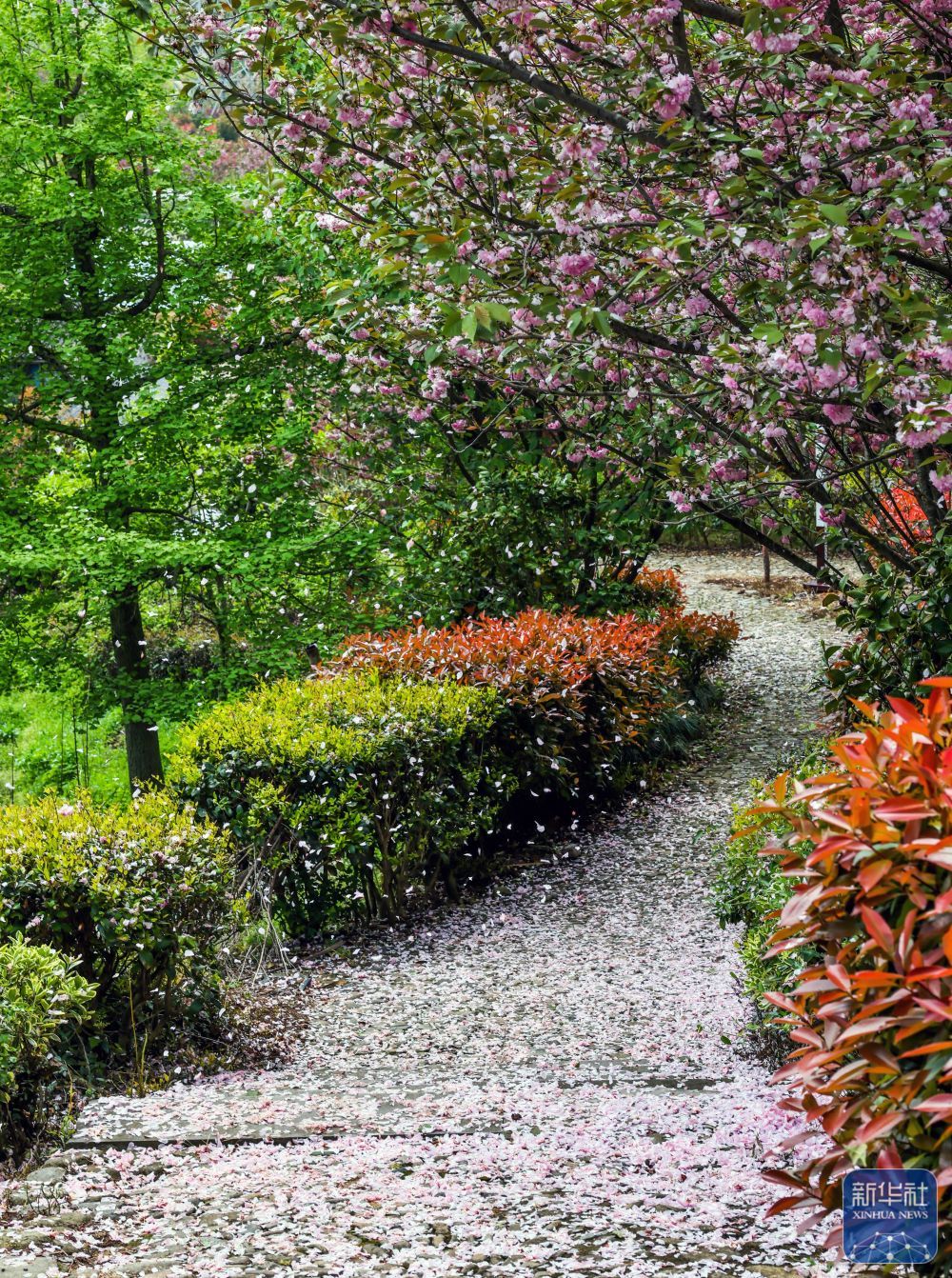 余姚鹿亭：特色生态产业助富百姓