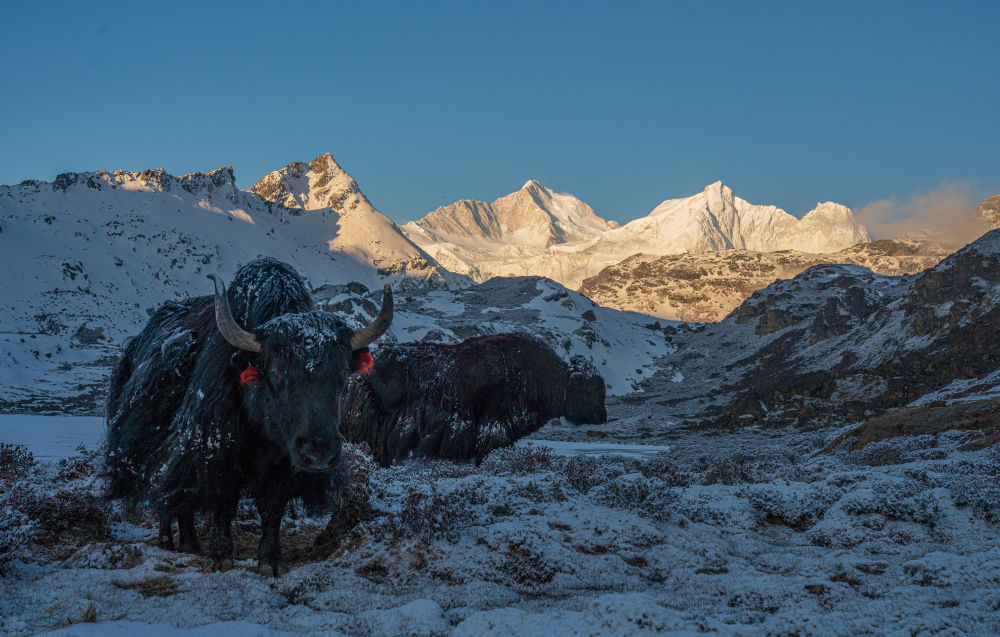 文旅新探｜西藏嘎玛沟：领略喜马拉雅的原始之美